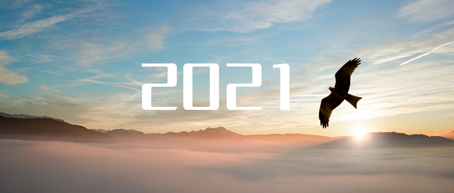 乘“峰”而上，智“盈”未来 ——2021年ROYAL皇家88环境高级资深副总裁新年开工动员